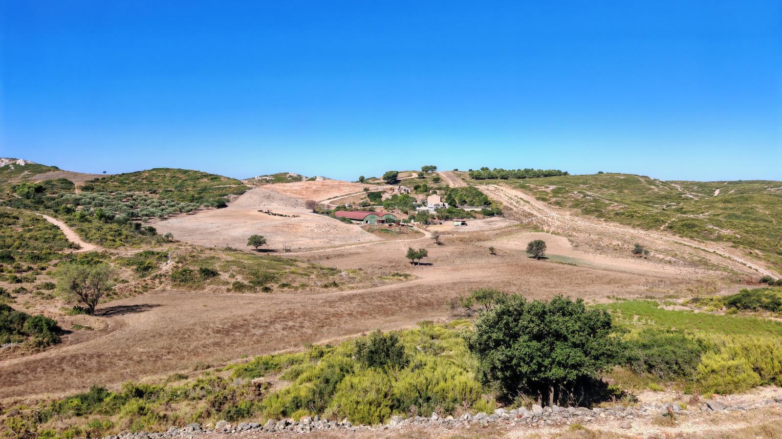 La ferme Gouiran et ses collines à chèvres, au-dessus du Rove