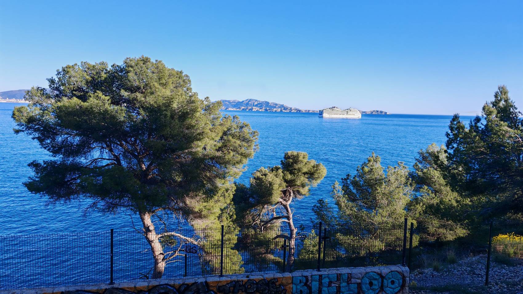Les pins de la Côte Bleue au-dessus de la mer, un paquebot au large