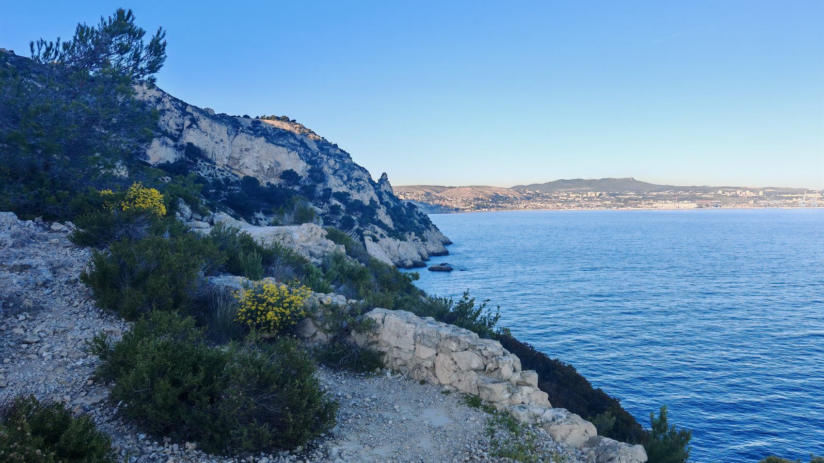 Le sentier des douaniers au-dessus de la mer, la garrigue en fleur et Marseille au fond